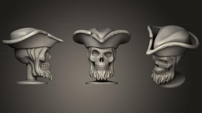 Бюсты монстры и герои (Пиратский Череп, BUSTH_0746) 3D модель для ЧПУ станка